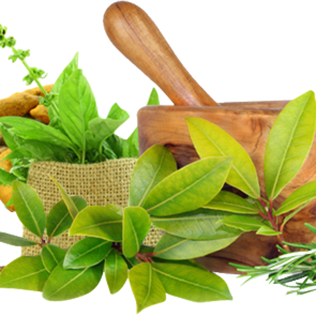 Ayurvedic Medicine For Healthy Body